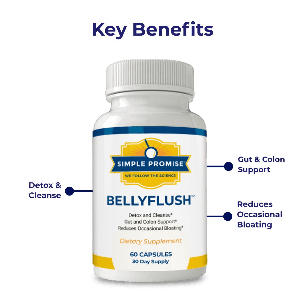 BellyFlush™ 1 Bottle (Subscription)